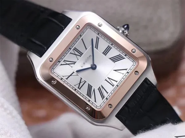 SANTOS DUMONT W2SA0017 F1 FACTORY SILVER DIAL - Image 3