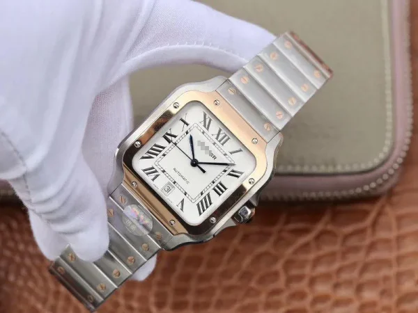 SANTOS W2SA0006 BV FACTORY WHITE DIAL - Image 4