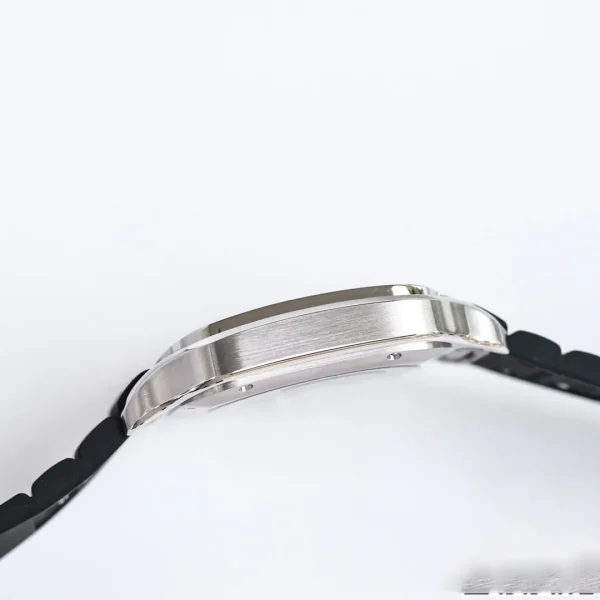 SANTOS WSSA0030 GF FACTORY V2 STAINLESS STEEL BEZEL - Image 4