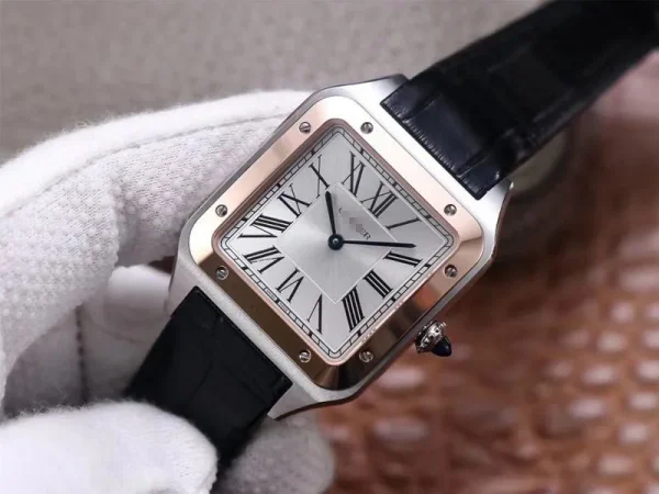 SANTOS DUMONT W2SA0017 F1 FACTORY SILVER DIAL - Image 6